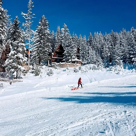 Jasmin - Vlašić