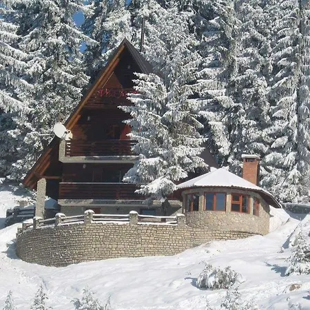 Jasmin - Villa Vlasic