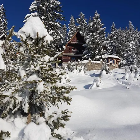 Jasmin - Villa *