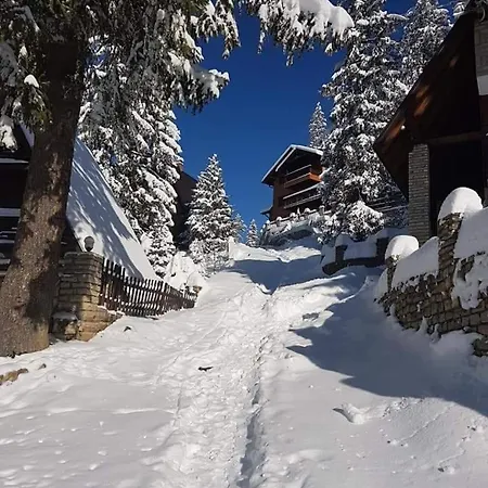 ヴィラ Jasmin - *