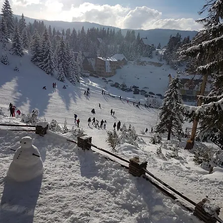 Jasmin - Vlašić