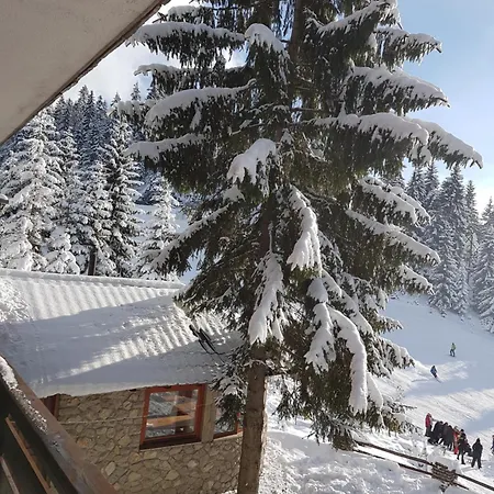 Jasmin - * Vlašić